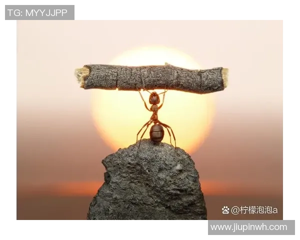 攀岩之路的深度对话：刘芳如何在挑战中找到自我与激情